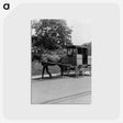 3-20_Dorothea-Lange_postcard