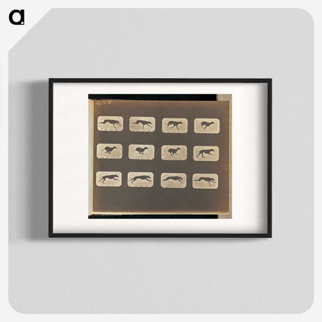 3-20_Eadweard-Muybridge_blk