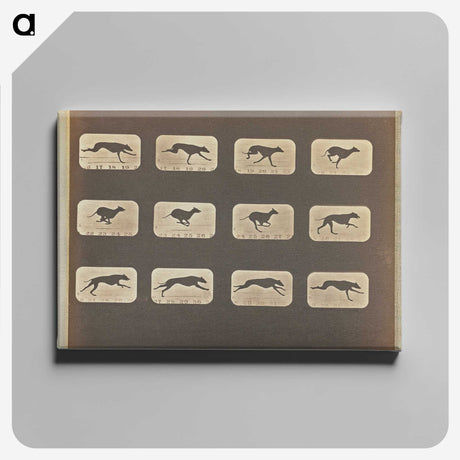 3-20_Eadweard-Muybridge_canvas