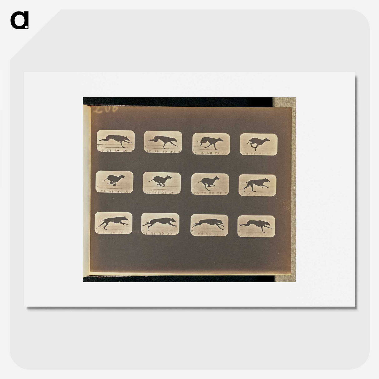 3-20_Eadweard-Muybridge_picture