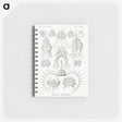 3-20_Ernst-Haeckel_memo