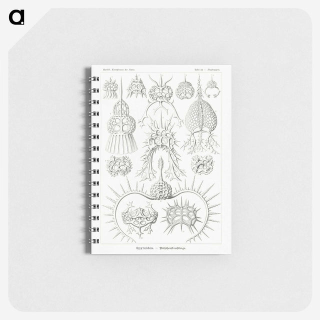 3-20_Ernst-Haeckel_memo