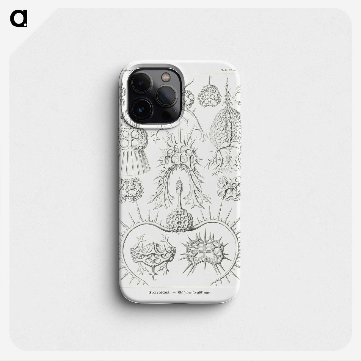 3-20_Ernst-Haeckel_phone