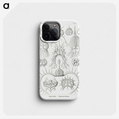 3-20_Ernst-Haeckel_phone