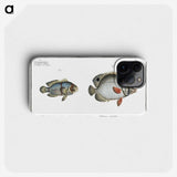 3-20_Ichtyologie-ou-Histoire-naturelle_phone