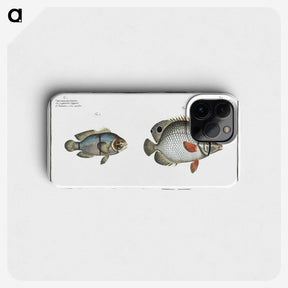 3-20_Ichtyologie-ou-Histoire-naturelle_phone