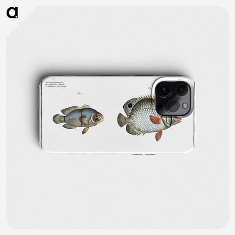 3-20_Ichtyologie-ou-Histoire-naturelle_phone