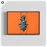 3-20_Insects-Unlocked-Project_blk-crop