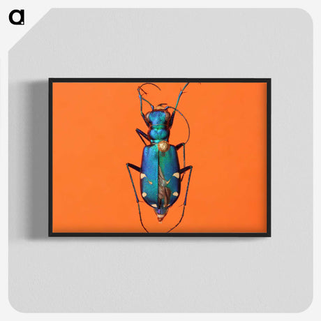 3-20_Insects-Unlocked-Project_blk-crop