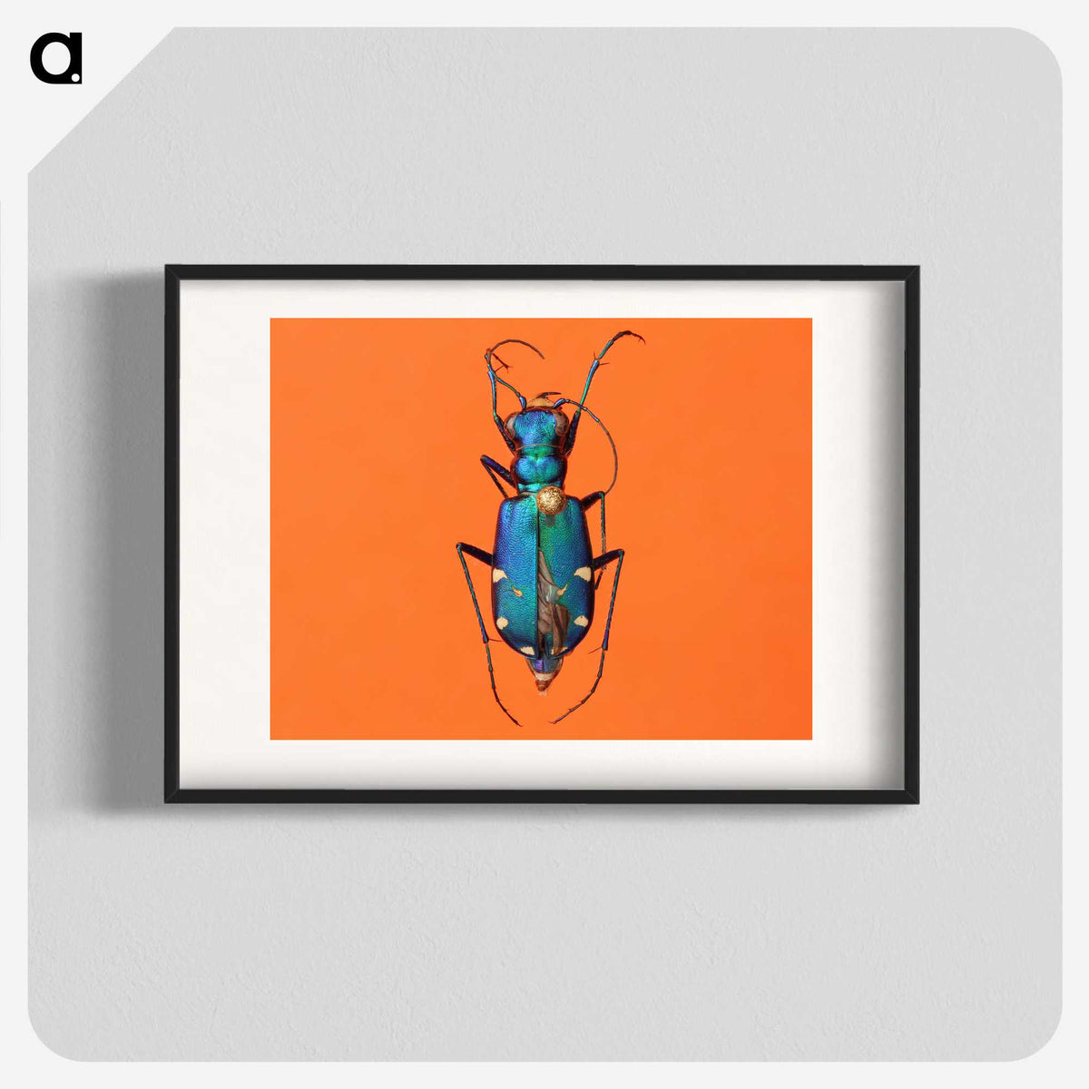 3-20_Insects-Unlocked-Project_blk