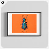 3-20_Insects-Unlocked-Project_blk