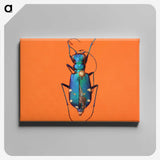 3-20_Insects-Unlocked-Project_canvas