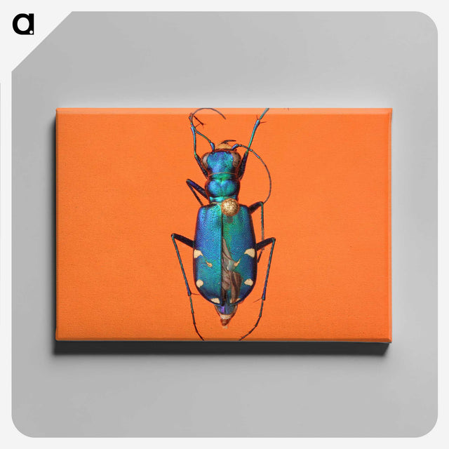 3-20_Insects-Unlocked-Project_canvas