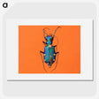 3-20_Insects-Unlocked-Project_picture