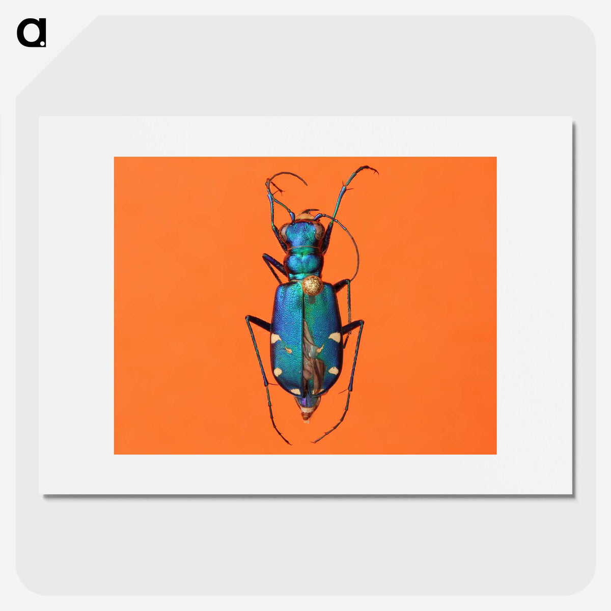 3-20_Insects-Unlocked-Project_picture