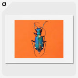 3-20_Insects-Unlocked-Project_picture