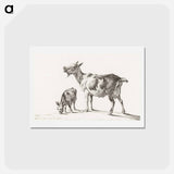 アートポストカード-Goats - ジャン ベルナール Postcard.