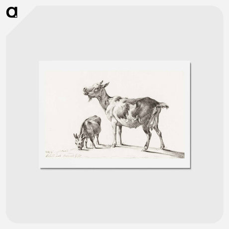 アートポストカード-Goats - ジャン ベルナール Postcard.