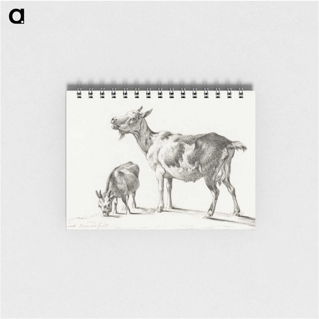 3-20_Jean-Bernard_memo