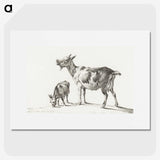 3-20_Jean-Bernard_picture
