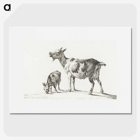 3-20_Jean-Bernard_picture
