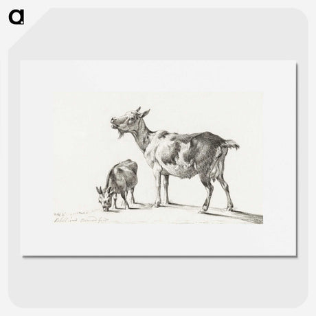 3-20_Jean-Bernard_picture