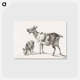 アートポストカード-Goats - ジャン ベルナール Postcard.