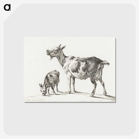 3-20_Jean-Bernard_postcard