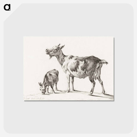 アートポストカード-Goats - ジャン ベルナール Postcard.