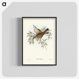 3-20_John-Gould_blk-crop