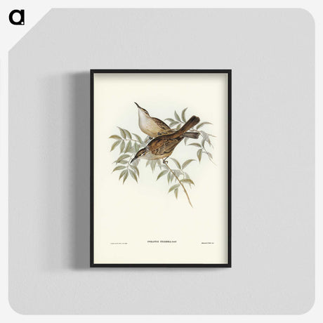 3-20_John-Gould_blk-crop