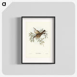 3-20_John-Gould_blk