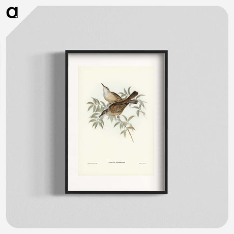 3-20_John-Gould_blk