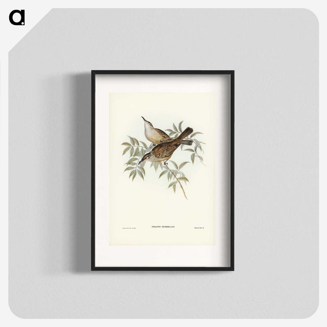 3-20_John-Gould_blk