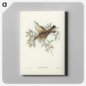 3-20_John-Gould_canvas