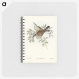 3-20_John-Gould_memo