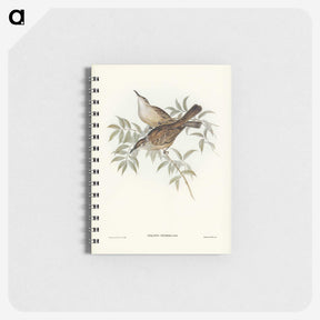 3-20_John-Gould_memo