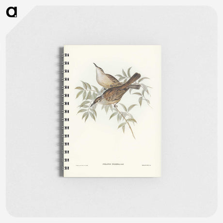 3-20_John-Gould_memo