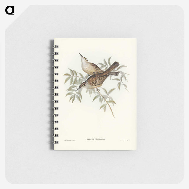 3-20_John-Gould_memo