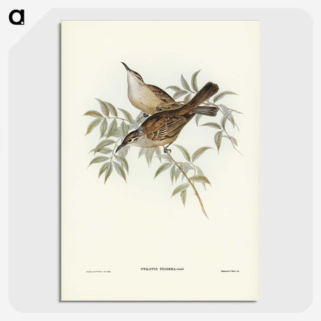 3-20_John-Gould_picture-crop