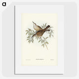 3-20_John-Gould_picture