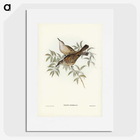 3-20_John-Gould_picture
