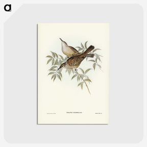3-20_John-Gould_postcard