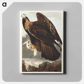 アートパネル-Golden Eagle
 - ジョン ジェームス オーデュボン Canvas.