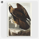 3-20_John-James-Audubon_picture-crop
