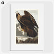3-20_John-James-Audubon_picture