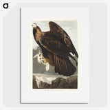 3-20_John-James-Audubon_picture
