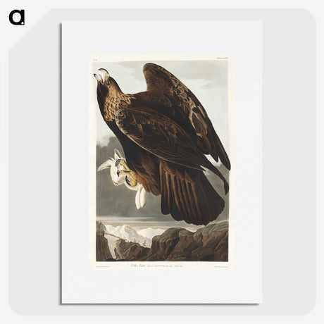 3-20_John-James-Audubon_picture