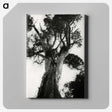 3-20_Leslie-Adkin_canvas