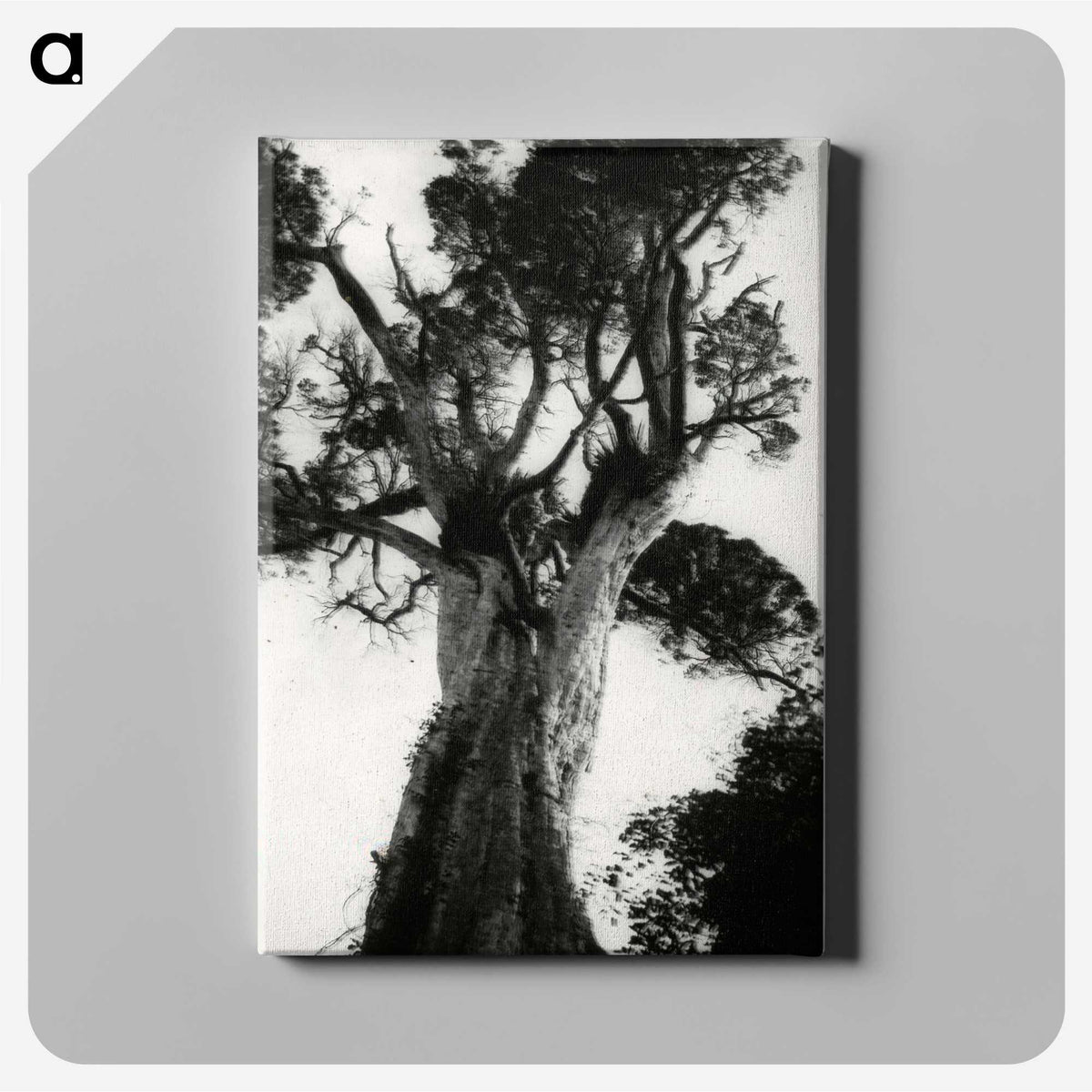 3-20_Leslie-Adkin_canvas